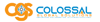 Colossal Global Solutions Logo