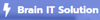 Brain IT Solution Logo