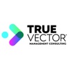 True Vector Management Consulting Logo