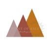 Point of Sale Strategies Logo