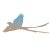 Scissortail Creative Logo