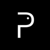 Piladya Logo
