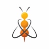 Innovation Bee P.C. Logo
