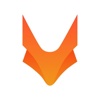 TechFox International Technology Joint Stock Stock Company Logo