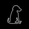 BlackDog Advertising Logo