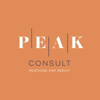Peak Consult Logo