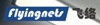 FlyingNets Information Technology Co, Ltd. Logo