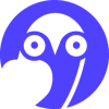 Boring Owl Logo
