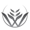 Warm Springs Consulting LLC Logo