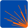 Tampa Bay Steel Logo