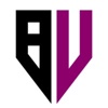 BizVibeZ Consultants Logo