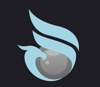 Eagle Vision Logo