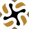 Spherical Strategies Logo