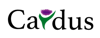 Cardus Logo