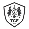 The Candy Factory Logo