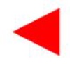 Wilkins Finston Friedman Law Group, LLP Logo