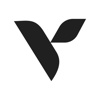 Volar Agency Logo