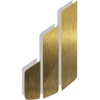 Paravest Capital, LLC Logo