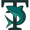 Shark Translations Logo