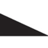 Finnveden Executive Logo