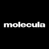 Molecula Agency LLC Logo