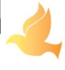 HCD International, Inc. Logo