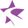 LiPav Consulting, LLC. Logo
