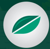 Cannabis Brands Logo