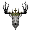 Medina Media Productions Logo