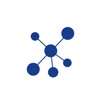 DataWise Solutions Logo