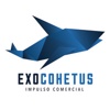 Anticonsultor Logo