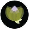 4400 Alaska Apartments Logo