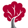 Joseph A. Lux CPA, PLLC Logo