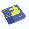 FuturaBold Logo