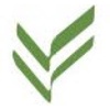 Datafrond Logo