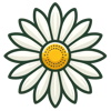 Chamomile.ai Logo
