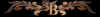 Shawn Buescher Logo