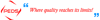 Professional Electronic Data Systems Plc Logo