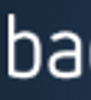 Bachert & Partner Logo