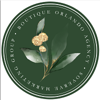 SoVerve Marketing Group Logo