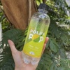 pop it in india Logo