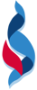 BJS Soft Solutions LLC Logo