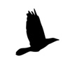 One Flight Up | Recording Studios Sydney Logo