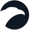 The Falcon Group Logo
