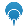 Community Web Development Logo