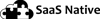SaaS Native Sp. z o.o. Logo
