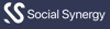 Social Synergy Logo