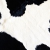 Fat Cow Media Logo