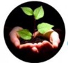 Shahlegacy Logo