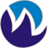 Webskynet IT Solution Logo